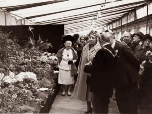 YORKSHIRE PRINCESS (Patio)